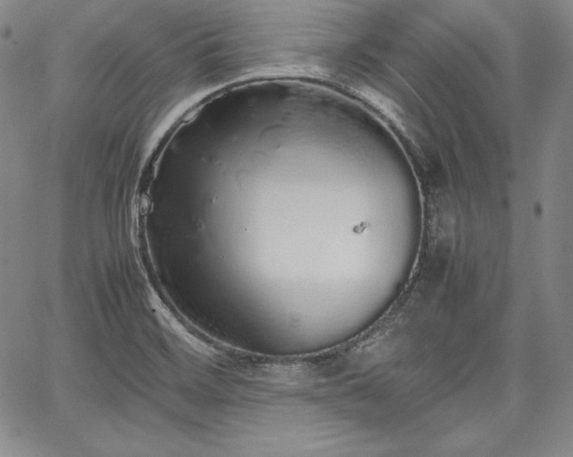 X0000067871468200604201205