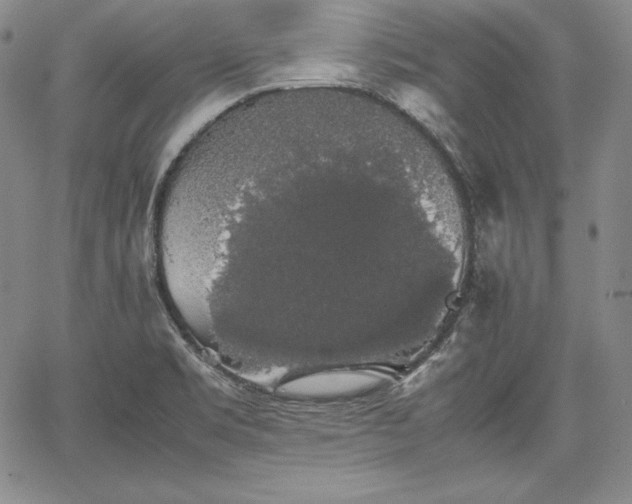 X0000067871469200604201205