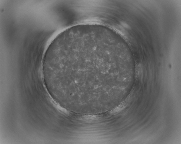 X0000067871470200604201205