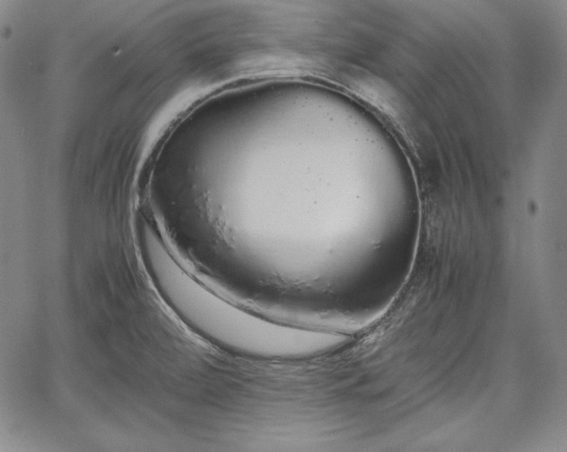 X0000067871472200604201205