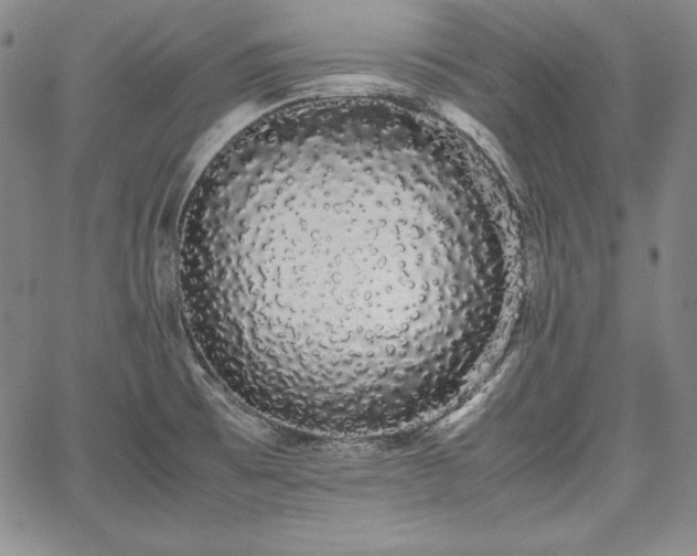 X0000067871473200604201205