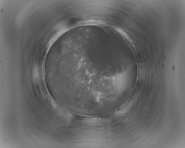 X0000067871474200604201205