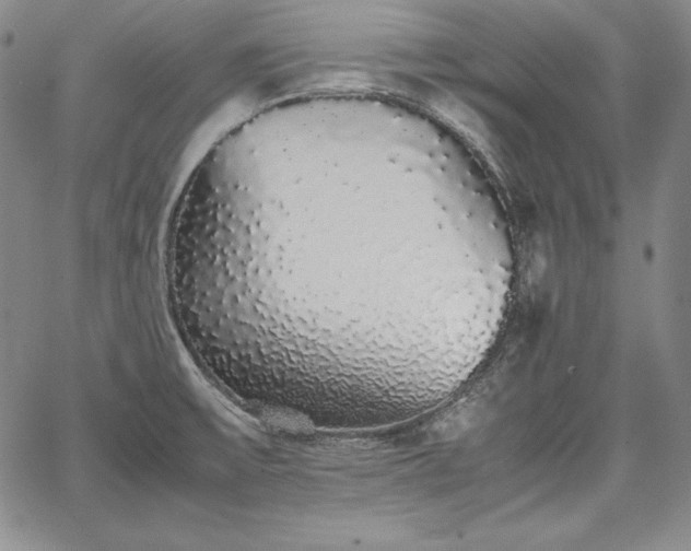 X0000067871475200604201205