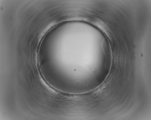 X0000067871476200604201205