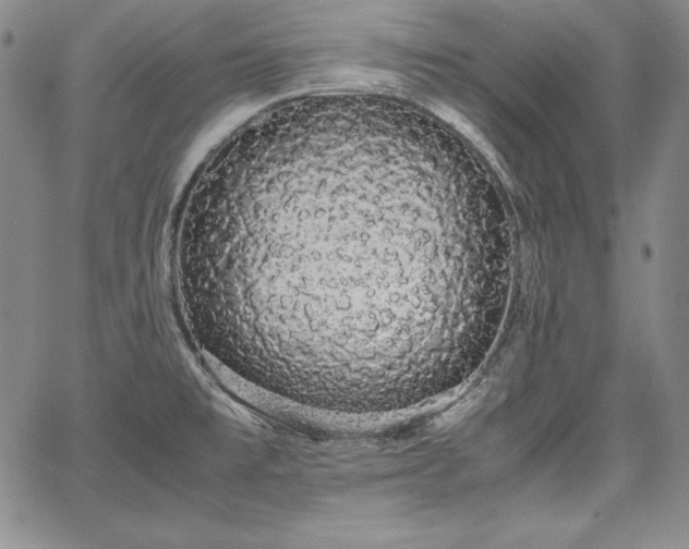 X0000067871477200604201205