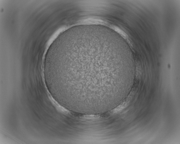 X0000067871478200604201205