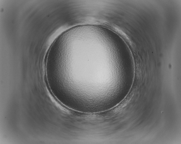 X0000067871479200604201205