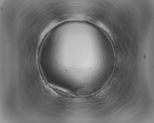 X0000067871480200604201205