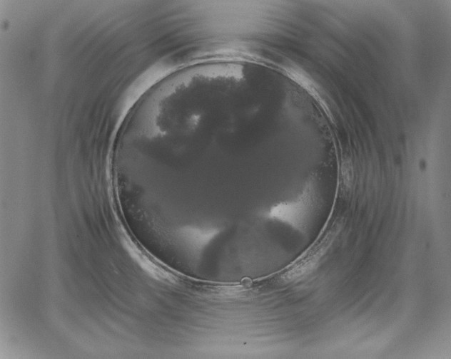 X0000067871482200604201205