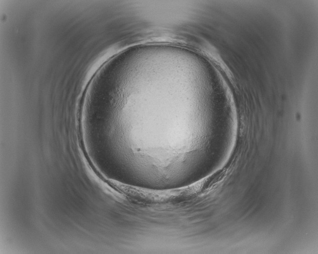 X0000067871483200604201205