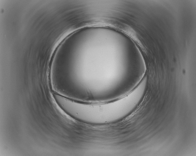 X0000067871484200604201205