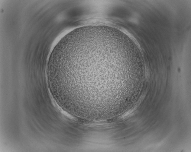 X0000067871486200604201205