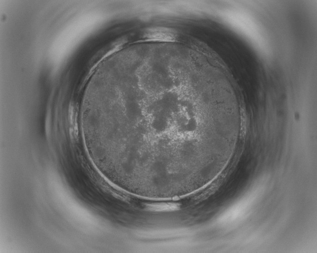 X0000067871487200604201205