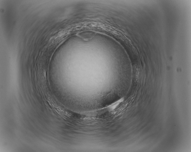 X0000067871489200604201204