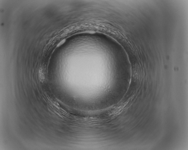 X0000067871490200604201204