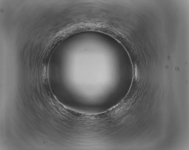 X0000067871492200604201204