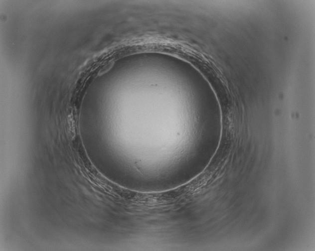 X0000067871493200604201204