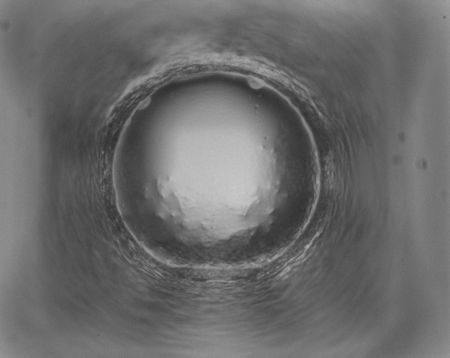 X0000067871494200604201204