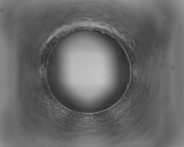 X0000067871495200604201204