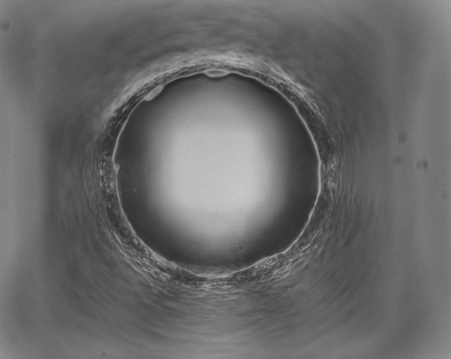 X0000067871496200604201204