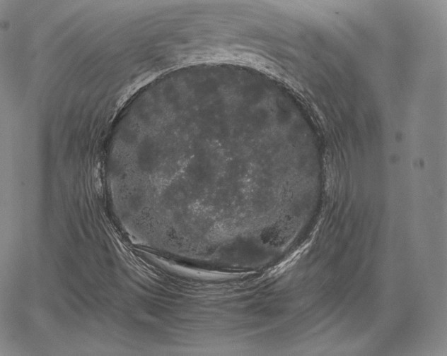 X0000067871497200604201204