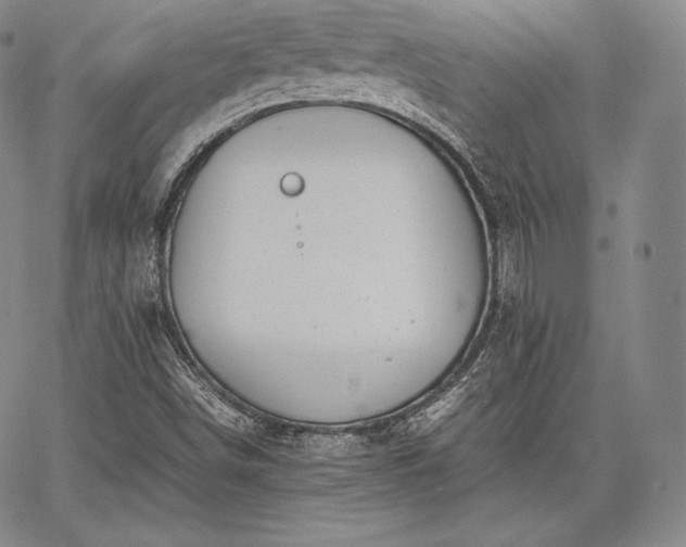 X0000067871498200604201204