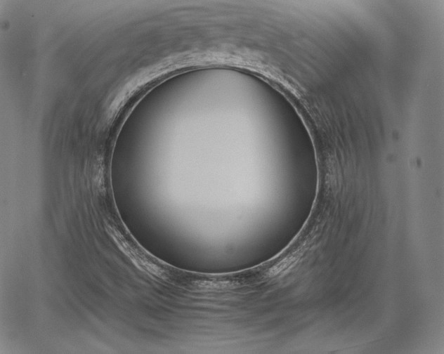 X0000067871499200604201204