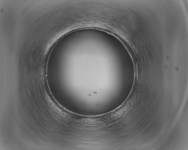 X0000067871500200604201204