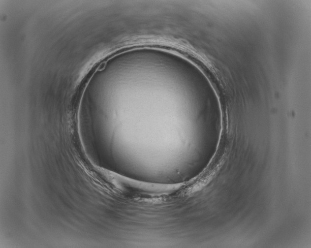 X0000067871501200604201204