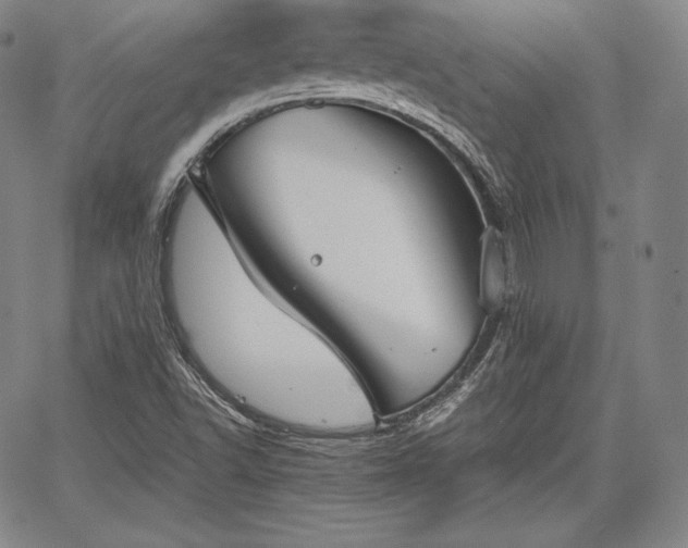 X0000067871502200604201204