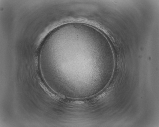 X0000067871503200604201204