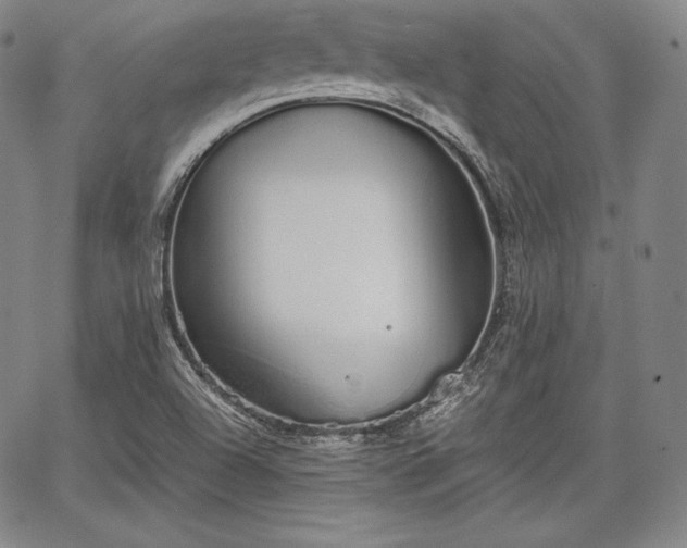 X0000067871504200604201204