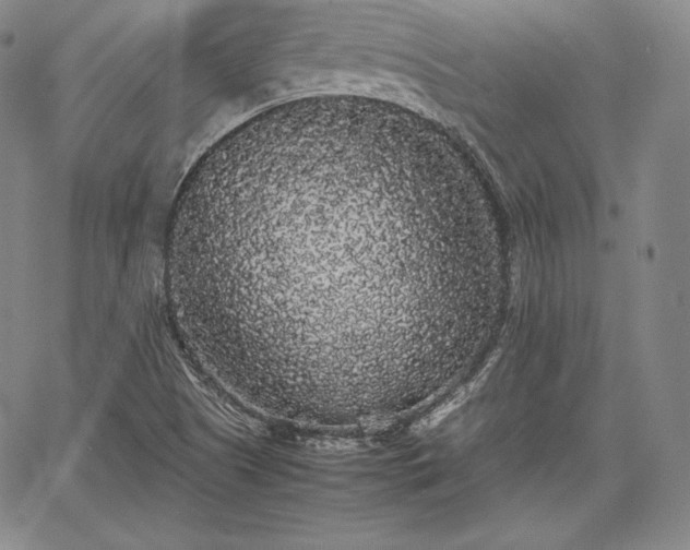 X0000067871505200604201204