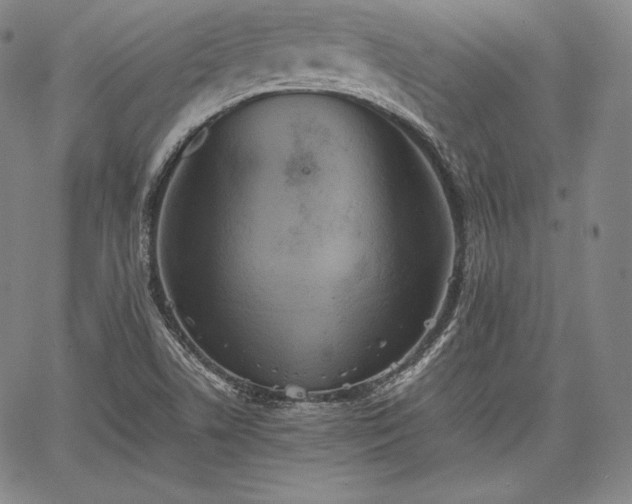 X0000067871506200604201204