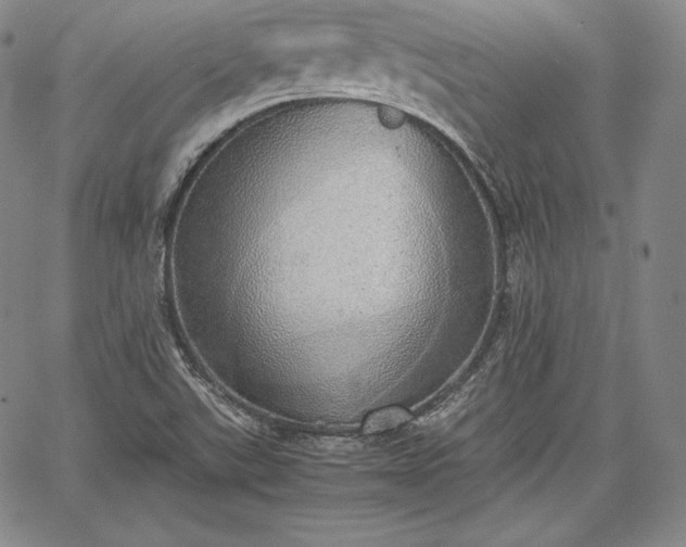 X0000067871507200604201204