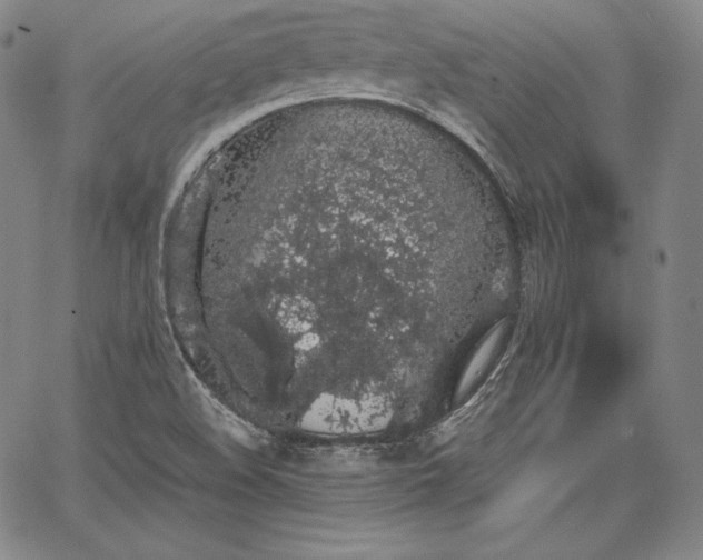 X0000067871508200604201204