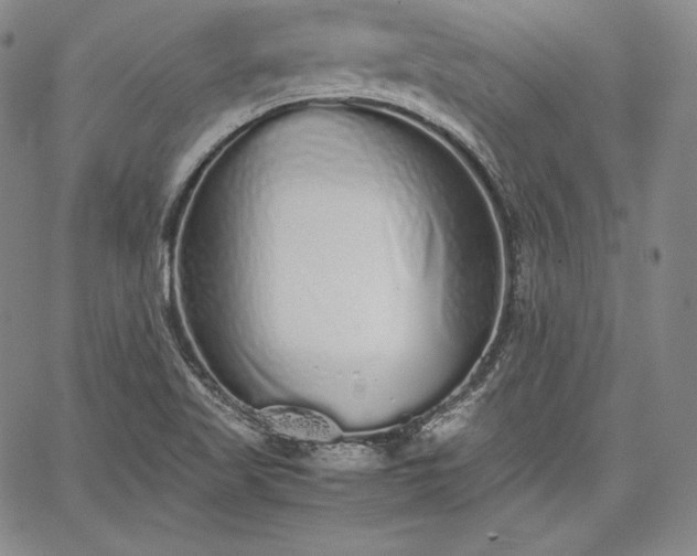 X0000067871509200604201204