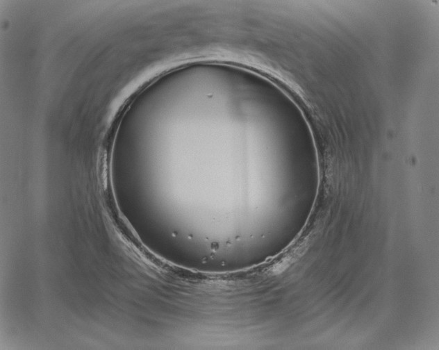 X0000067871510200604201205