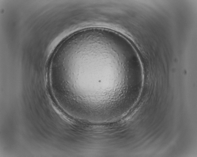 X0000067871511200604201205