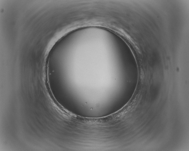 X0000067871512200604201205