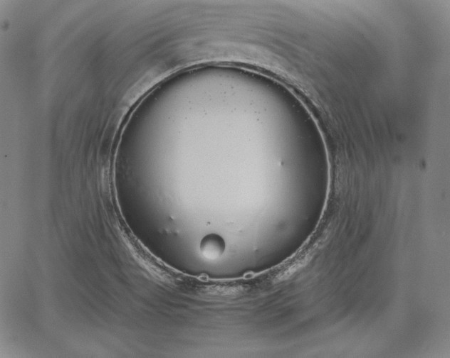 X0000067871513200604201205