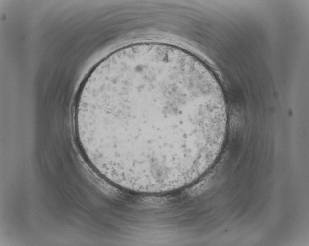 X0000067871514200604201205