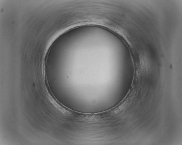 X0000067871516200604201205