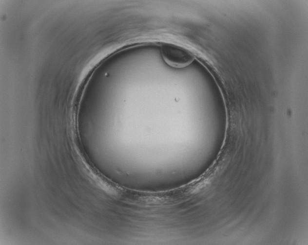 X0000067871517200604201205