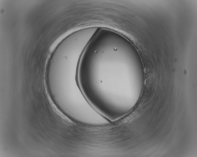 X0000067871518200604201205