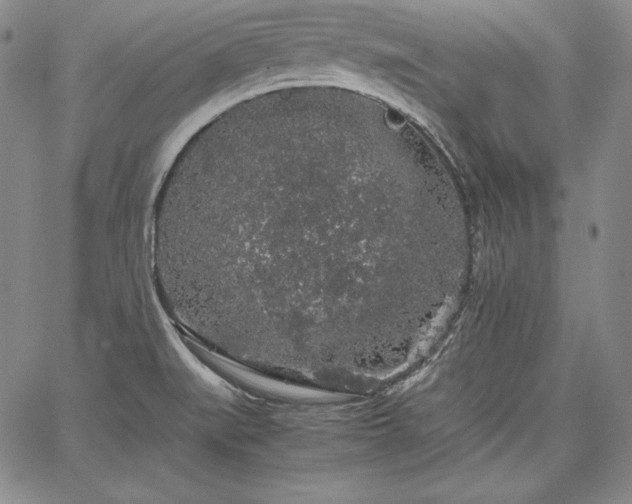 X0000067871519200604201205