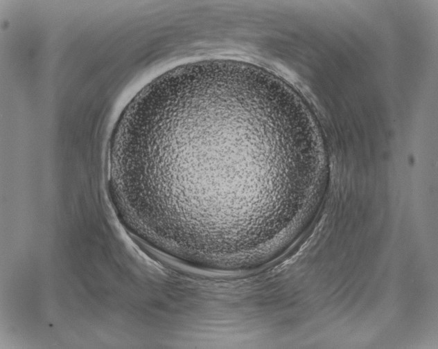 X0000067871520200604201205