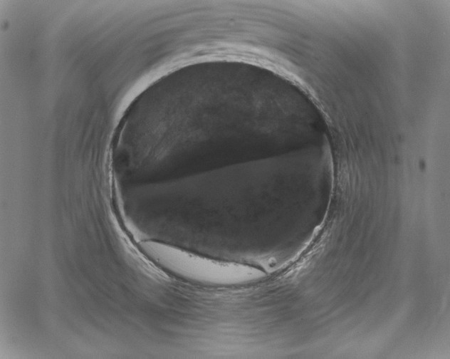 X0000067871522200604201205