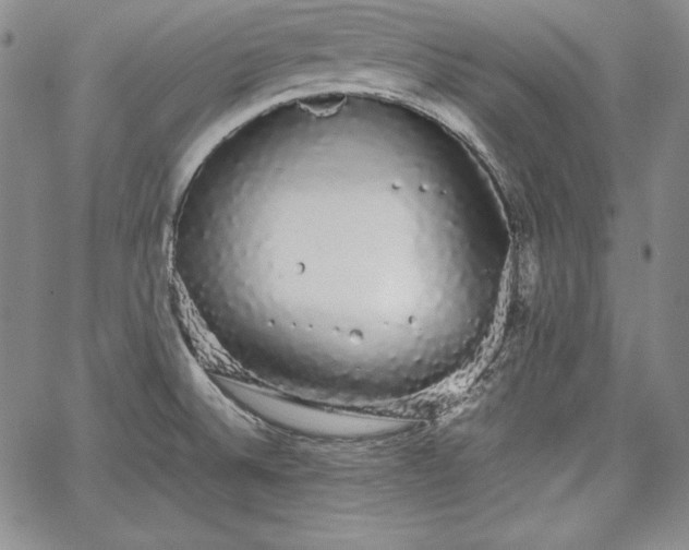 X0000067871524200604201205