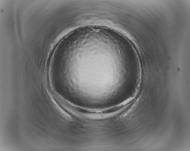 X0000067871525200604201205